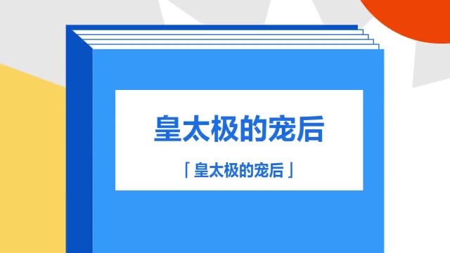 带你了解《皇太极的宠后》