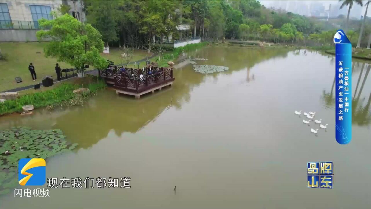 沂蒙花生油:“全国每消费8桶花生油就有1桶产自临沂”的底气来自哪里