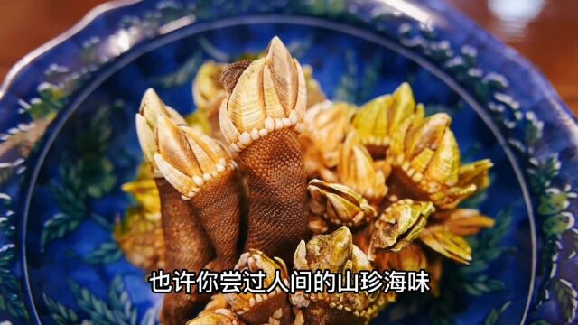 珍贵的佛手螺,浓郁鲜甜的肉质,还能提高人体免疫力