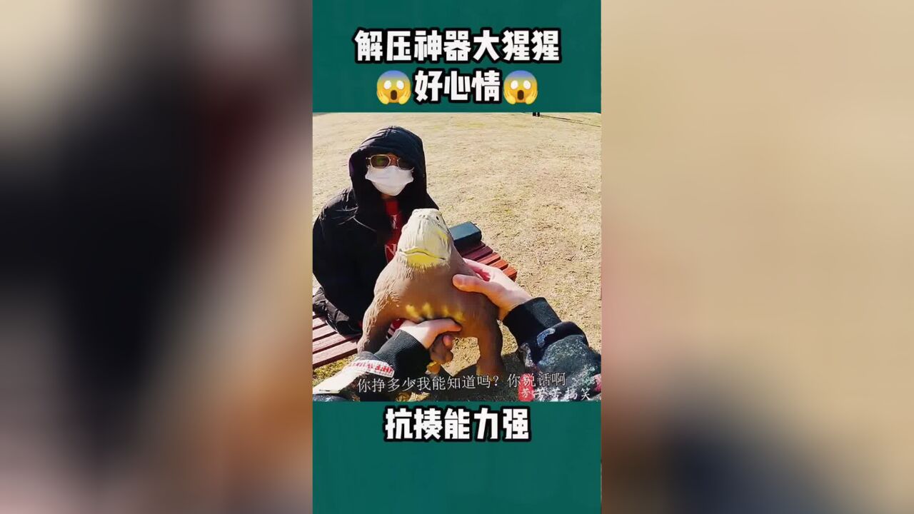 网红大猩猩