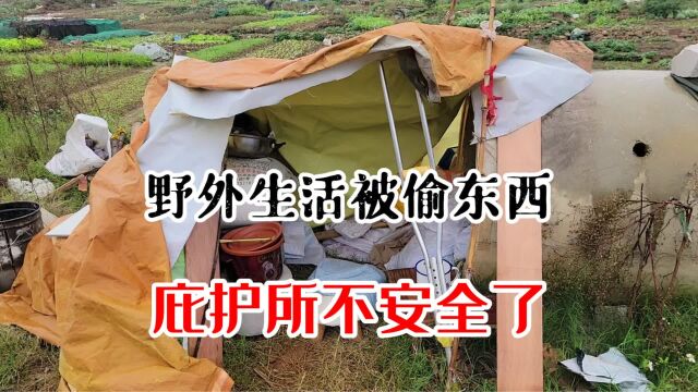 一个人野外生活,被偷家是什么体验?庇护所不安全了