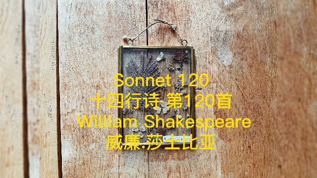 莎士比亚 十四行诗 第120首 Sonnet 120 by William Shakespeare