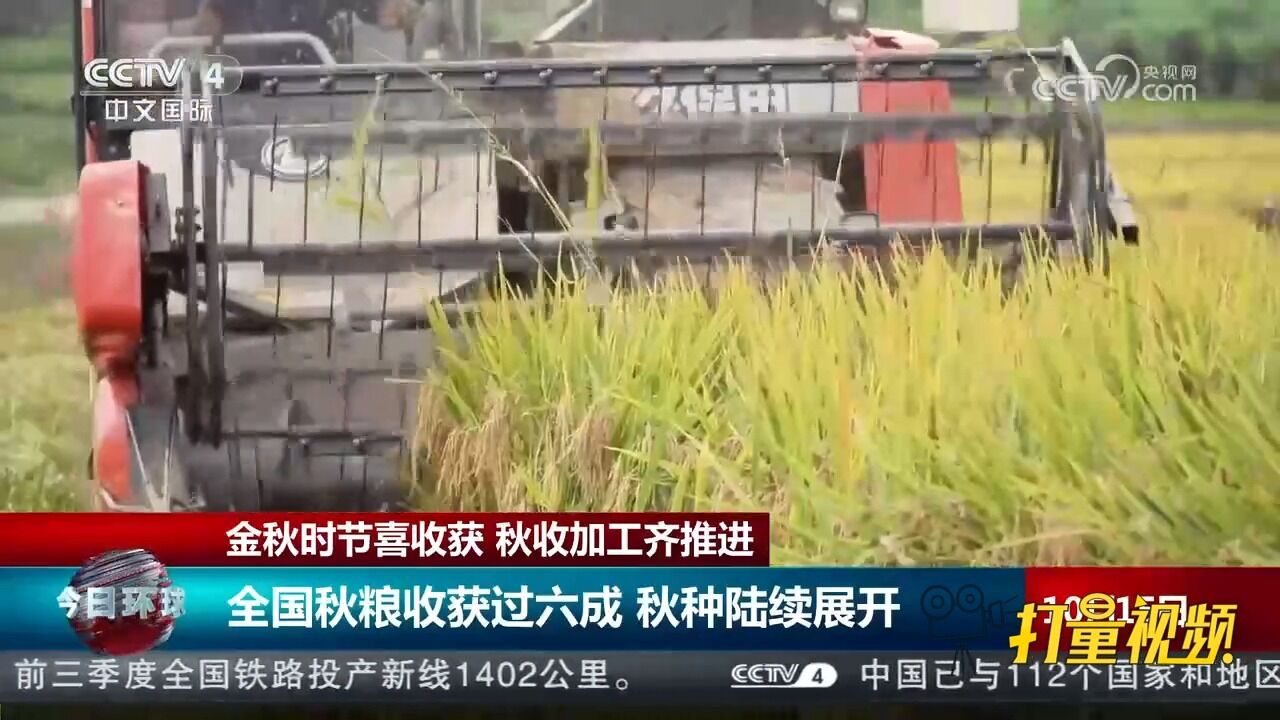 金秋时节喜收获!全国秋粮收获过六成,秋种陆续展开