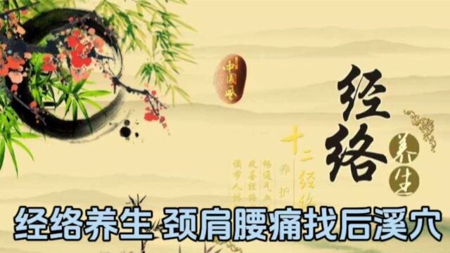 经络养生 颈肩腰痛找后溪穴