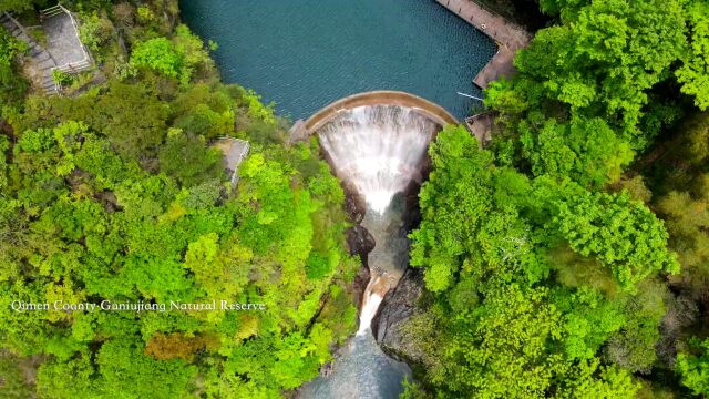 这一次,站在黄山之巅!英、韩、日文版宣传片同步上线