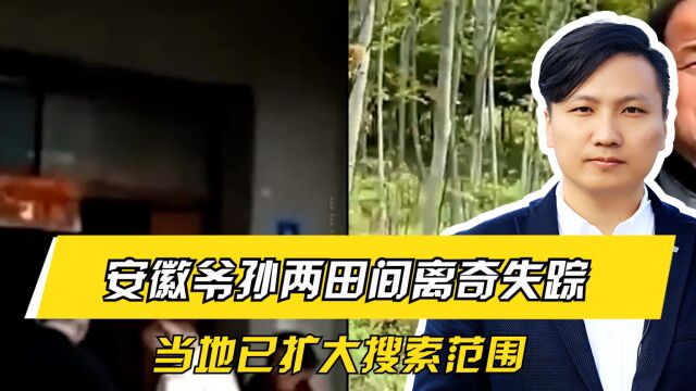 揪心!安徽爷孙两田间离奇失踪,当地已扩大搜索范围