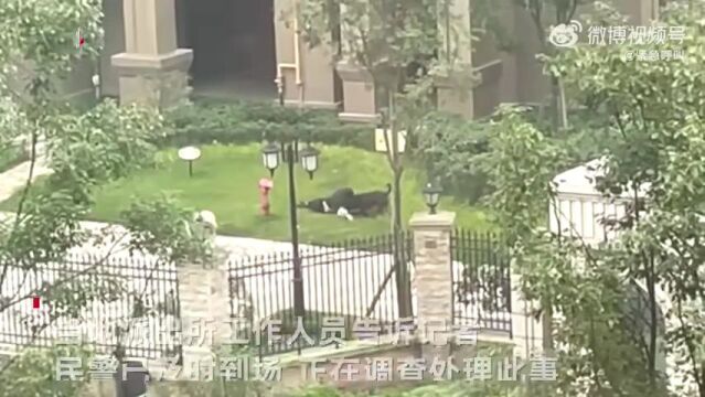 2岁女童遭大型犬撕咬,咬人黑狗和主人尚未找到,刚刚警方通报——