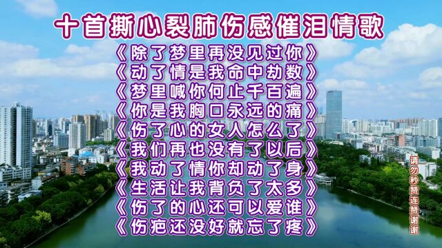 精选十首伤感催泪情歌《除了梦里再没见过你》《动了情是我命中劫数》《梦里喊你何止千百遍》《生活让我背负了太多》伤疤还没好就忘了疼