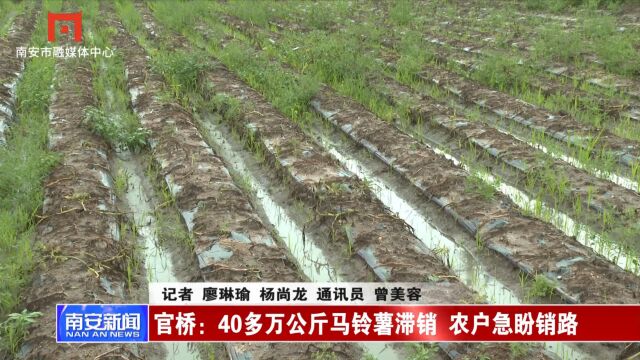 官桥:40多万公斤马铃薯滞销 农户急盼销路