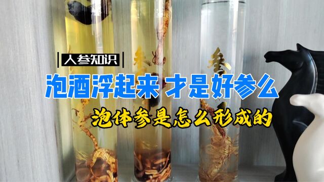 4月24日泡体参泡酒浮起来