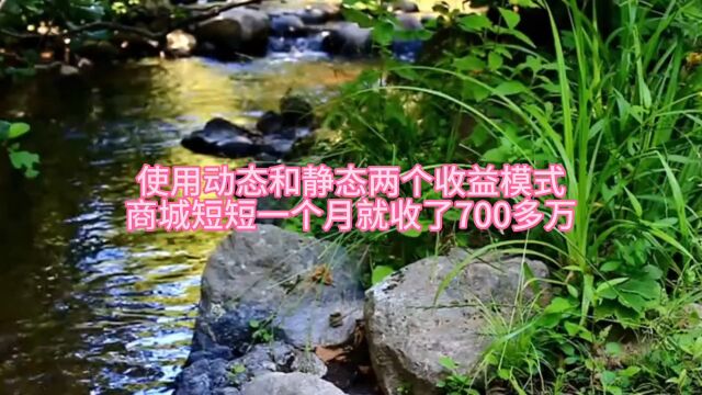 使用动态和静态两个收益模式商城短短一个月就收了700多万