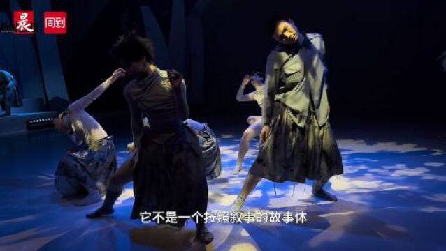 五一看演出 | 音乐舞蹈剧场《百鸟朝凤》今日首演,让古代神话中的凤鸟治愈现代生活的疲累