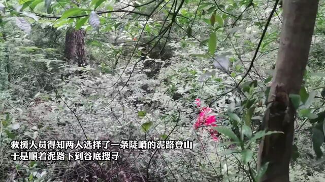 登山写游记,江西2名小学生失足滑下山坡