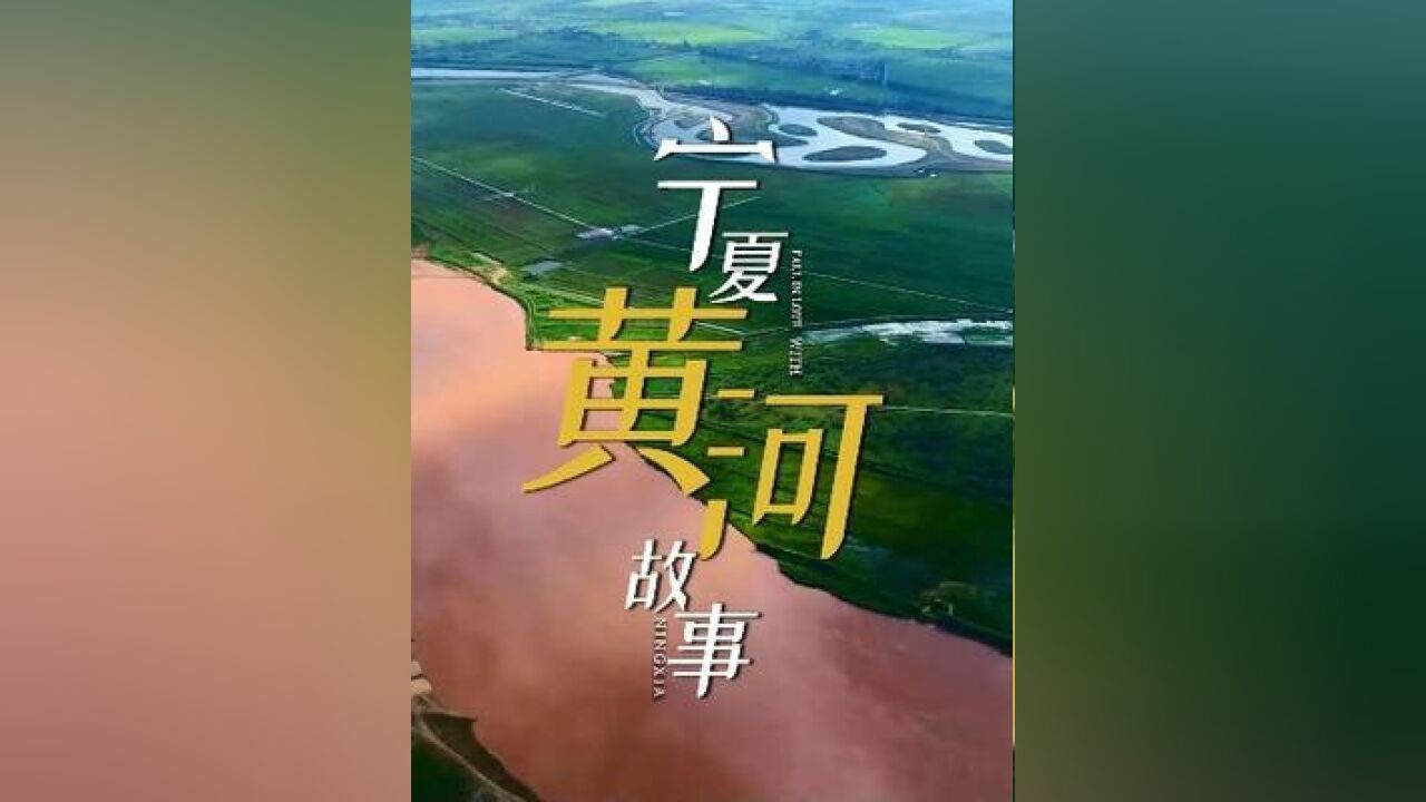 我说黄河才是宁夏旅游当之无愧的“流量”担当,大家没意见吧!