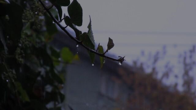 今阴雨,拜职山门外,求闲野寺,心有杂念,佛不收,魔不待