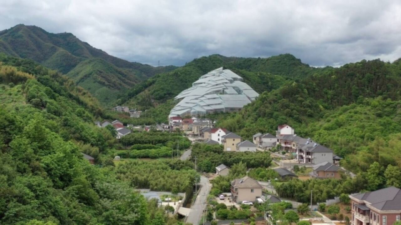 最近火出圈的杭州“富士山”找到了,背后的故事酸酸甜甜