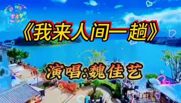 魏佳艺《我来人间一趟》歌词句句扎心,唱尽了人生的悲伤和凄凉