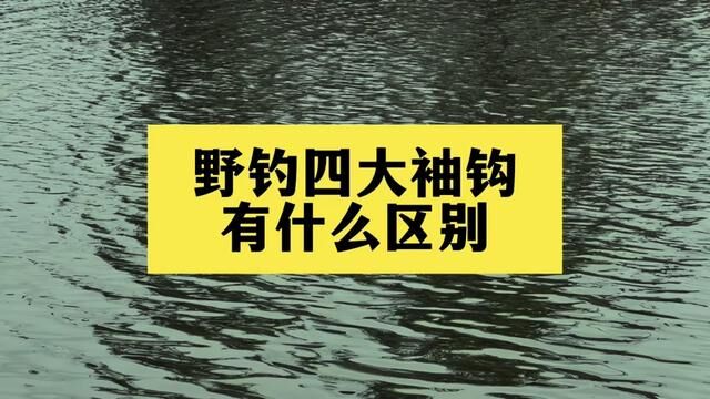 野钓四大袖钩,金袖,白袖,赤袖,黑袖的区别 #垂钓 #鱼钩 #袖钩 #钓鱼 #野钓