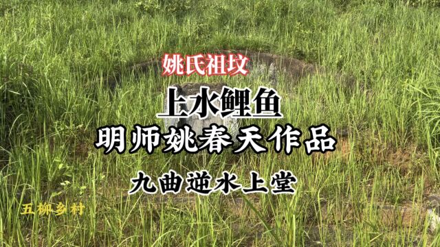 带你欣赏陆川沙坡姚氏祖坟皇姑坟,也是明手姚春天作品