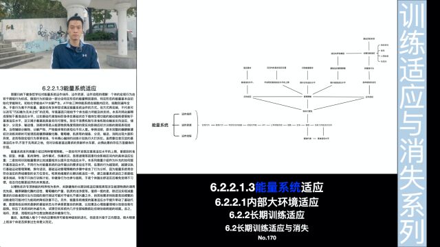 第三种能量系统管理策略