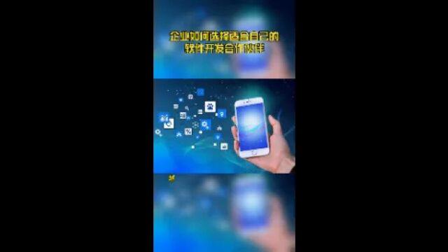 企业如何选择适合自己的软件开发合作伙伴