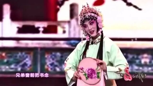 花簇玮瑰蕴远流,薰风莫测境悠悠——青年演员窦玮(内附精彩视音频)