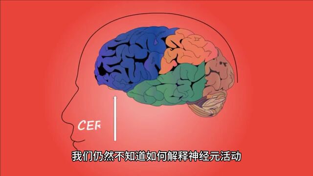 神经科学领域的未解之谜