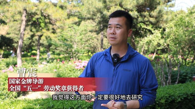 “金牌导游”曹震:用深度有内涵的讲解打动游客