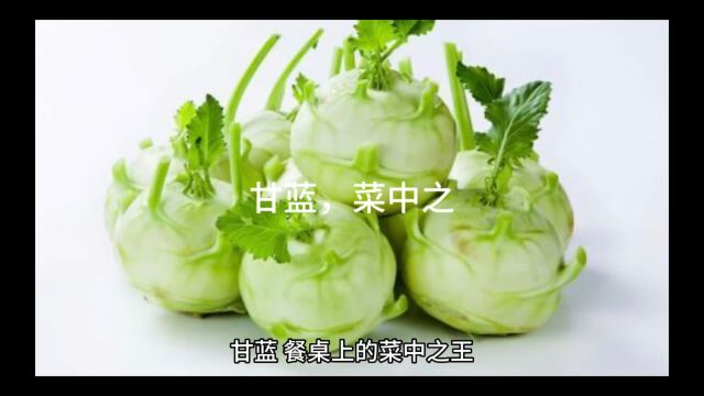 甘蓝,菜中之王