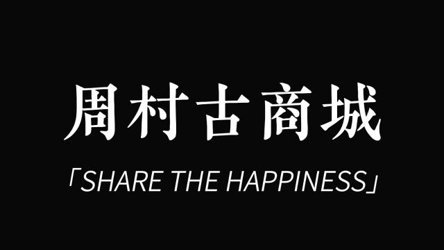 田林峰 毕业设计纪录片《大街古城》