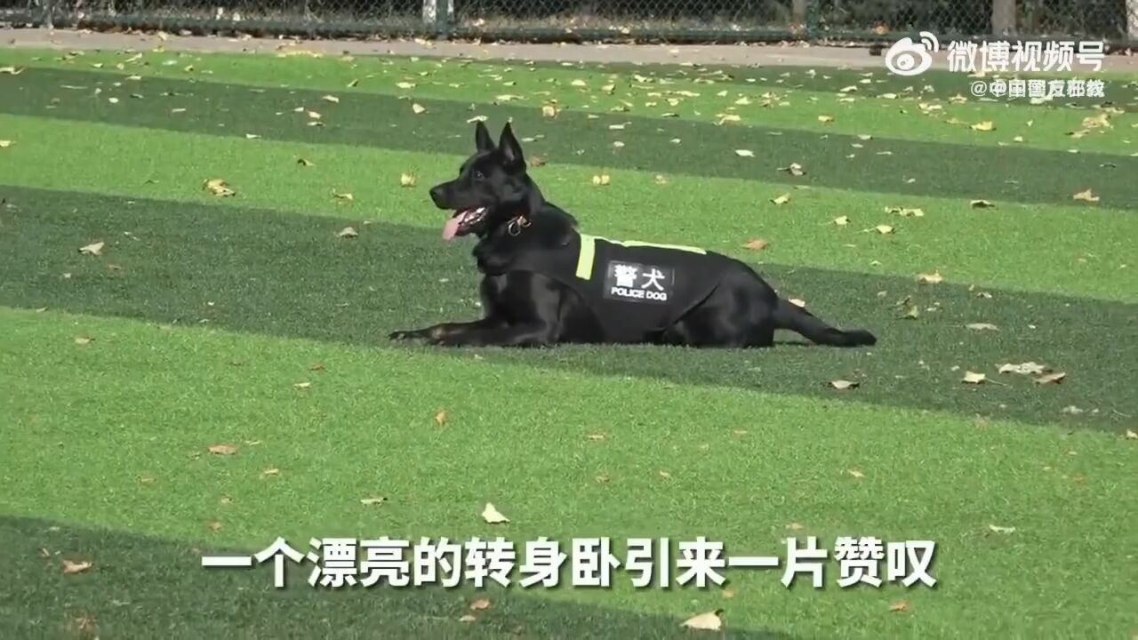 帅呆了!警汪漂亮转身嬴得满场喝彩!