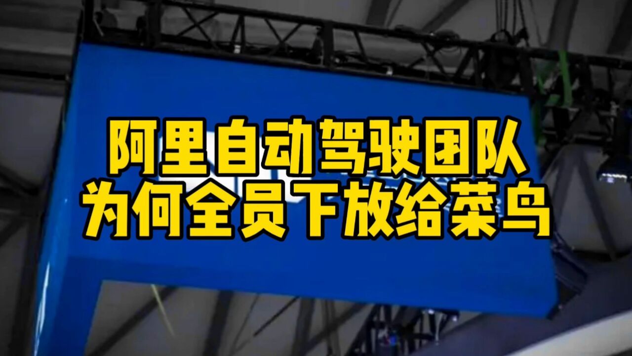 互联网评:阿里自动驾驶团队为何全员下放到菜鸟?