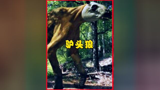 神农架出现神秘生物,驴头狼身凶残嗜血,它到底是什么生物?