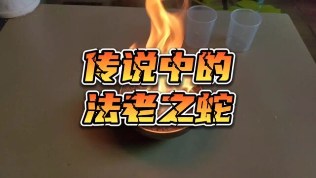 制作创说中的“法老之蛇”