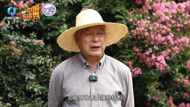 护土中国 瑞丰生态:苗木土壤修护小妙招~2500一颗苗木摇身一变18万!