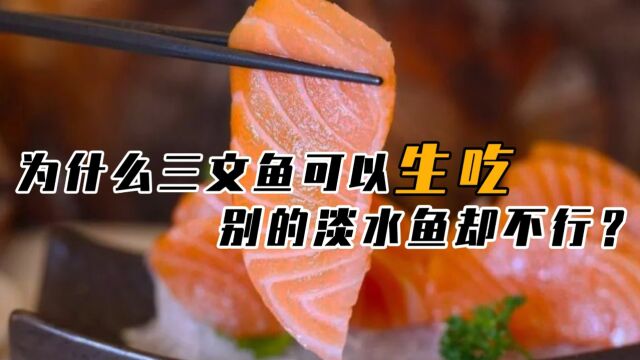 为何人们要“生吃”三文鱼,真的不会有寄生虫?煮熟了食用不香吗