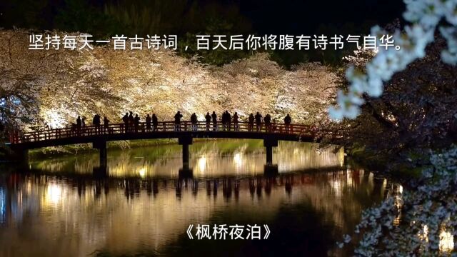 坚持每天一首古诗词《枫桥夜泊》