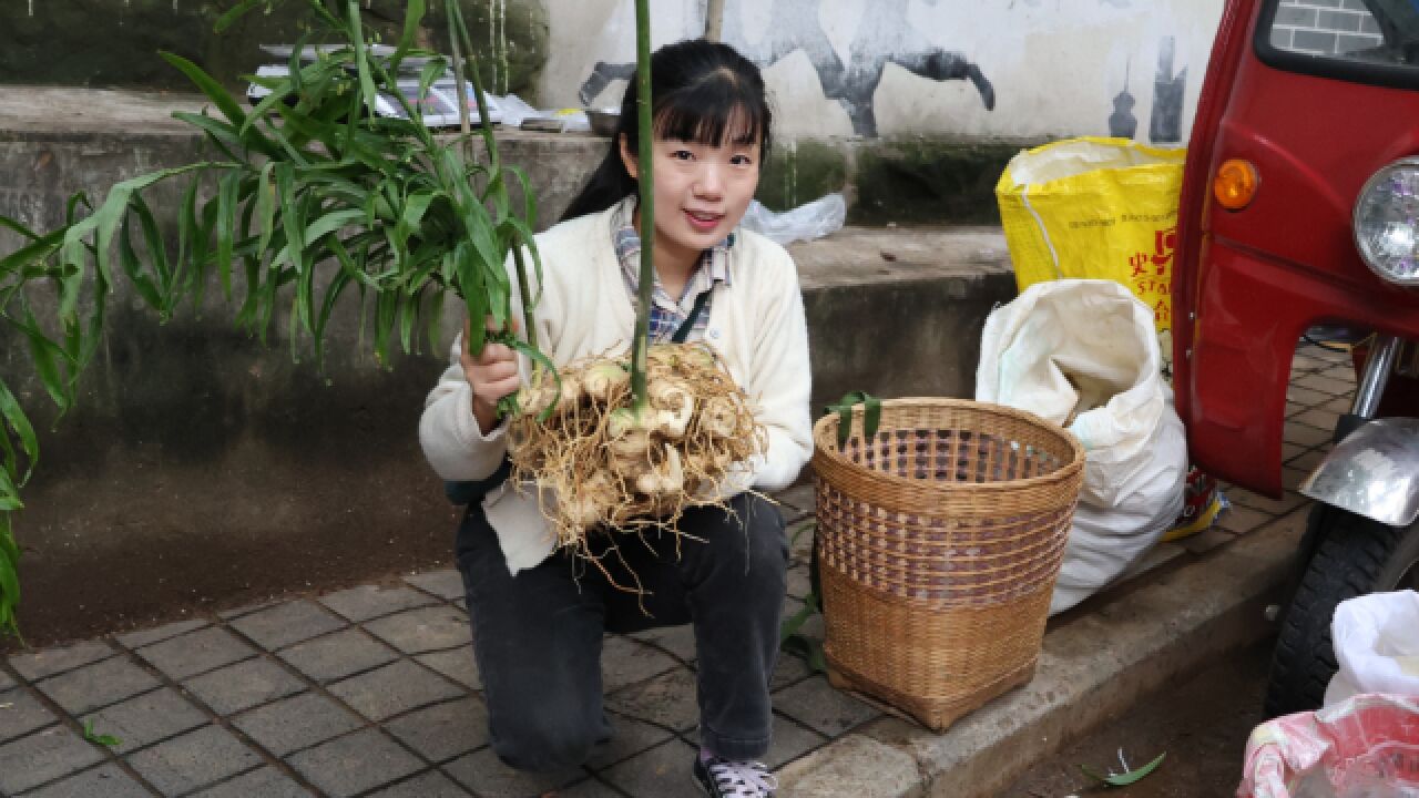 心里有点怕,进城卖6年的土黄精,60斤卖了3000多元也不知亏没有