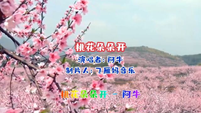 阿牛的原唱歌曲《桃花朵朵开》很牛的一首经典老歌,鼓手们都喜欢