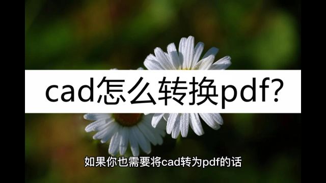 cad怎么转换pdf?认准这几种方法