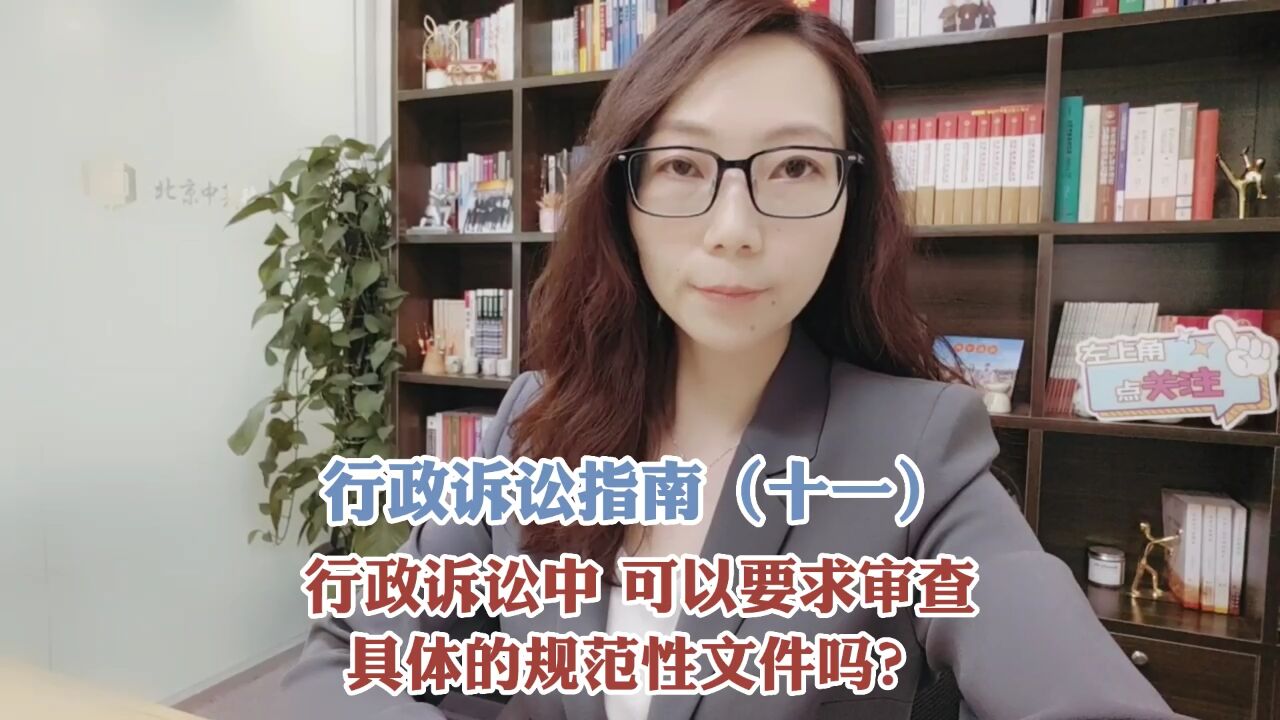 行政诉讼中,可以要求审查具体的规范性文件吗?