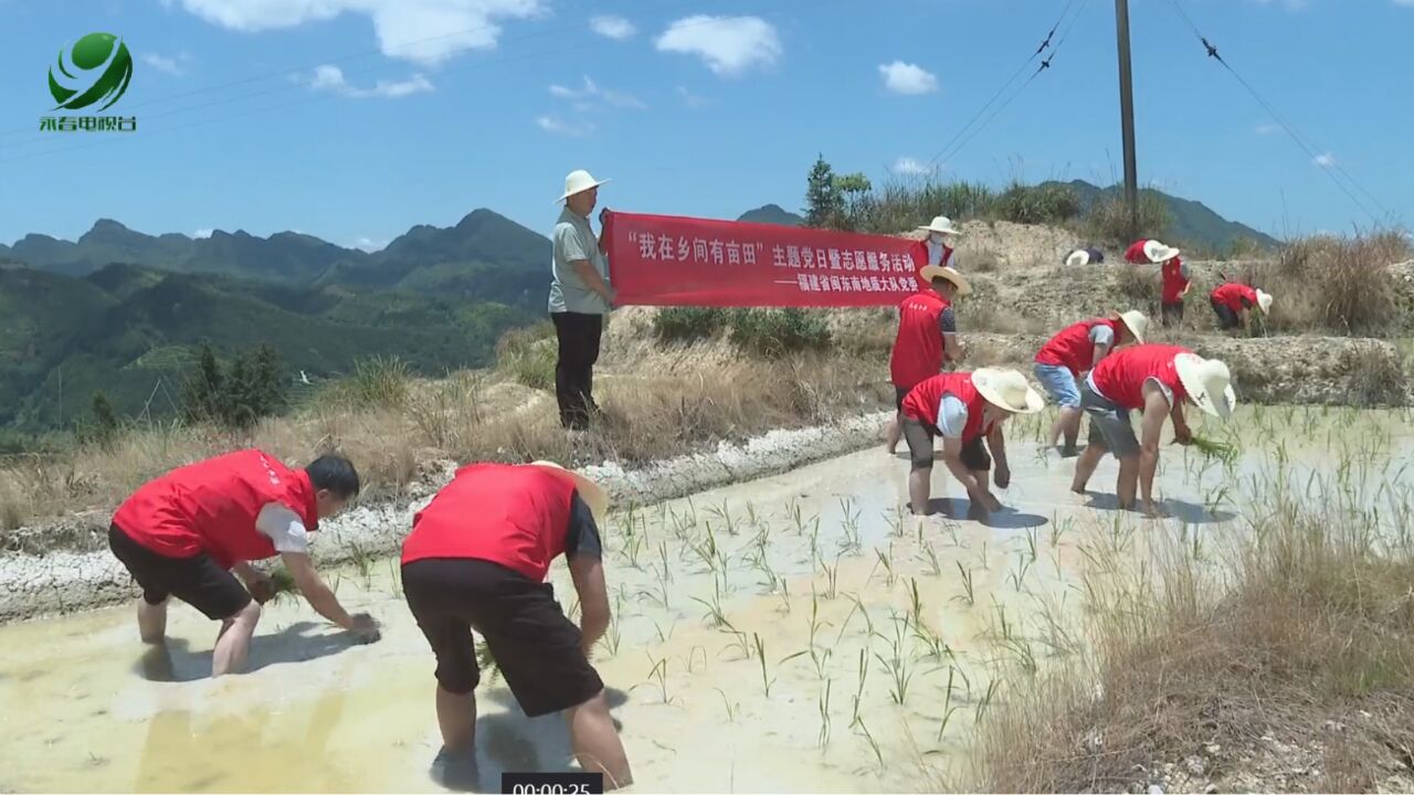 【乡村振兴进行时】认种水稻田 助力乡村振兴