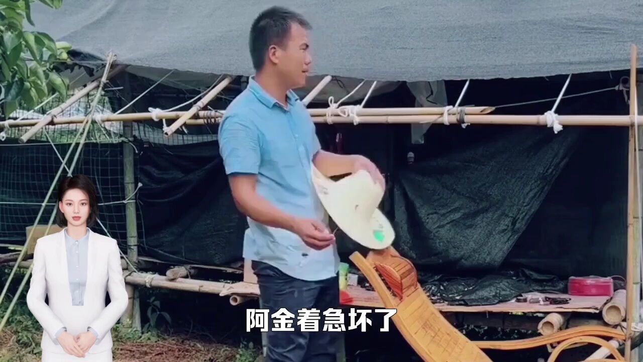 澳洲华裔外卖员遭遇“精贼”:手机被盗,工资被转走,澳警无作为