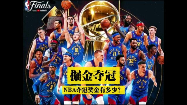 掘金夺得队史首冠,NBA总冠军奖金有多少?掘金戈登奖励100万美元,而热火邓罗为何没了1000万美元?