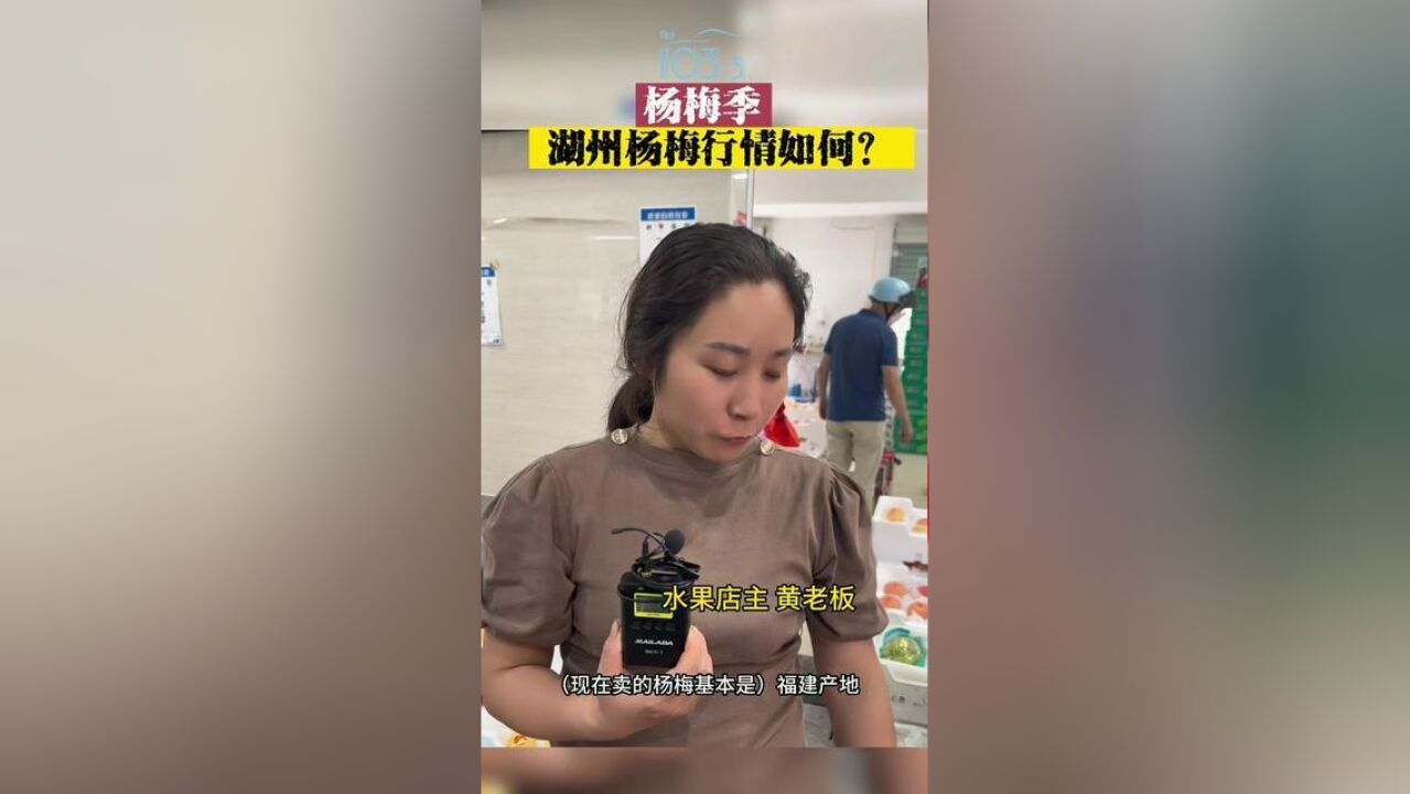 杨梅季,湖州杨梅行情如何呢?记者:丹阳,后期:婷婷