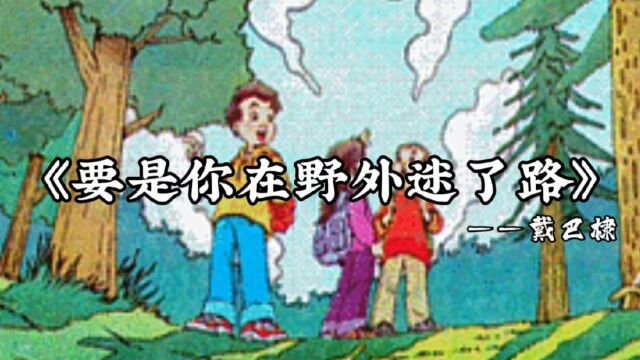 《要是你在野外迷了路》——大自然有很多天然的指南针!