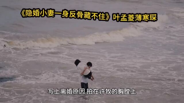 《隐婚小妻一身反骨藏不住》叶孟菱薄寒琛(&完整.无弹窗)