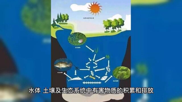 你知道环境污染吗?