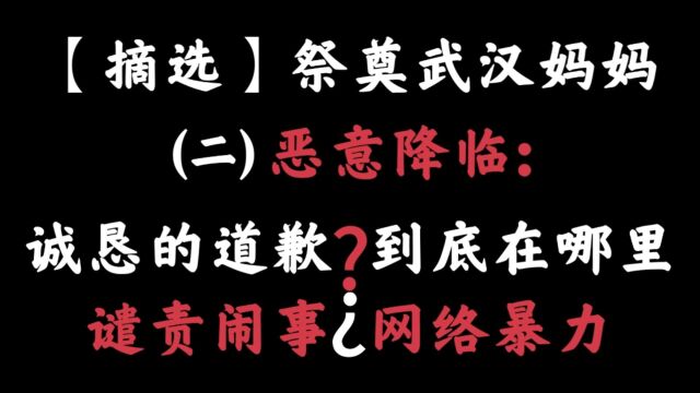 【摘选】祭奠武汉妈妈(二)恶意降临:诚恳的道歉?到底在哪里?谴责闹事⿮Š网络暴力⿵.23小学生校内被车碾压致死6.02孩子母亲跳楼身亡