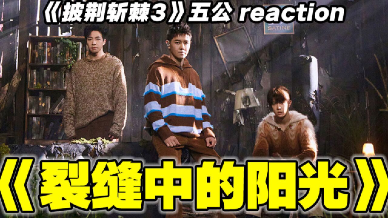 治愈好听!林志颖俞灏明马伯骞《裂缝中的阳光》reaction